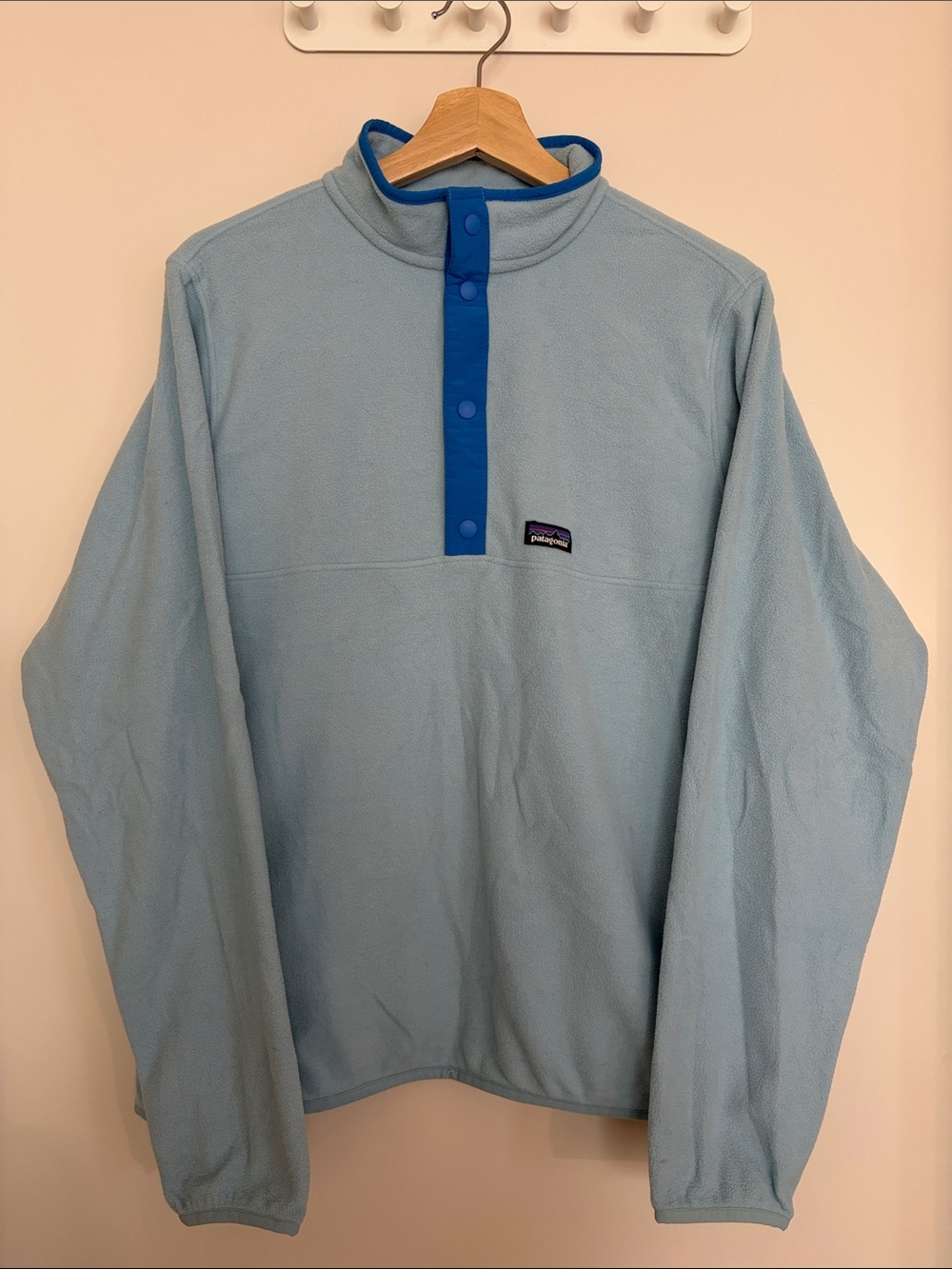 Patagonia Boys' Micro D Snap-T Pullover